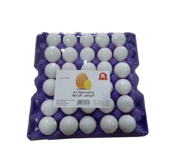 صورة الموارس بيض طازج - XL 30