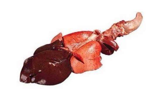 صورة معلاق خاروف بلدي