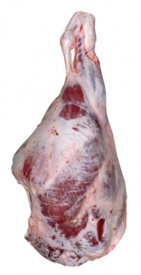 صورة فخد عجل بلدي